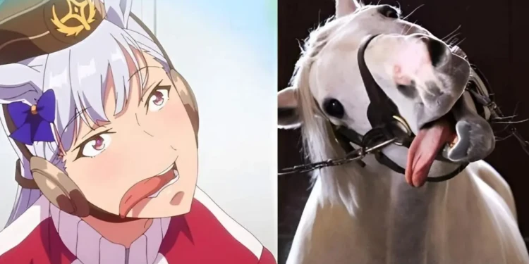 uma musume