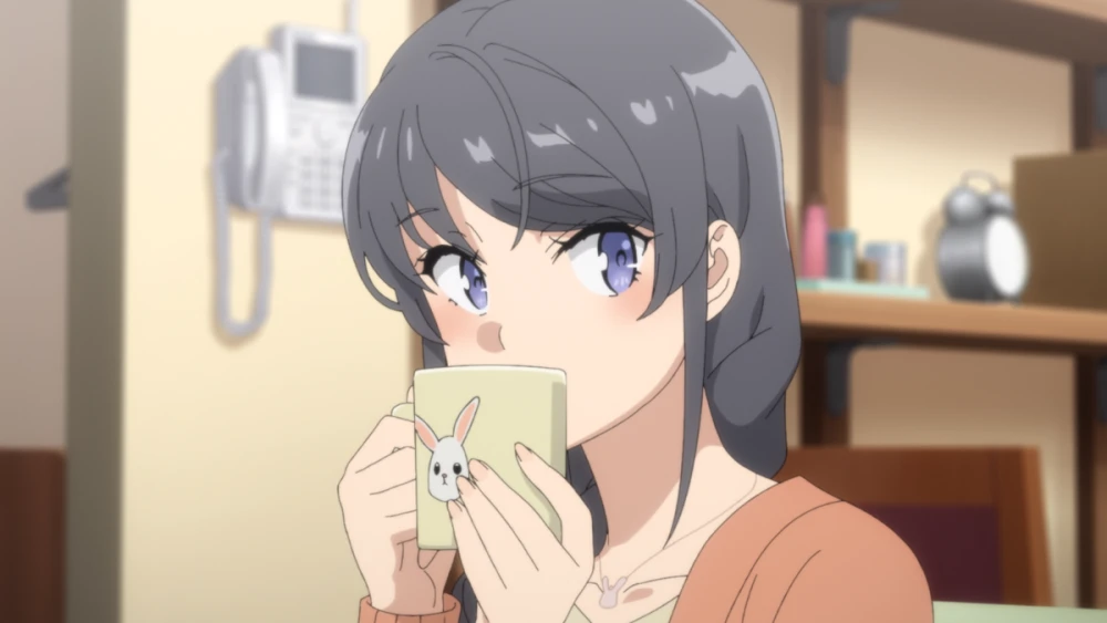 bunnygirl5(1-5)