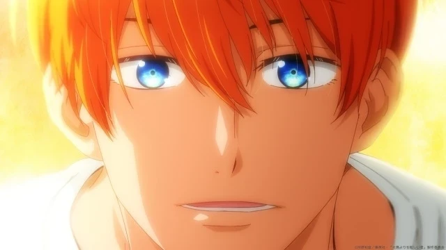 A Star Brighter Than the Sun Anime