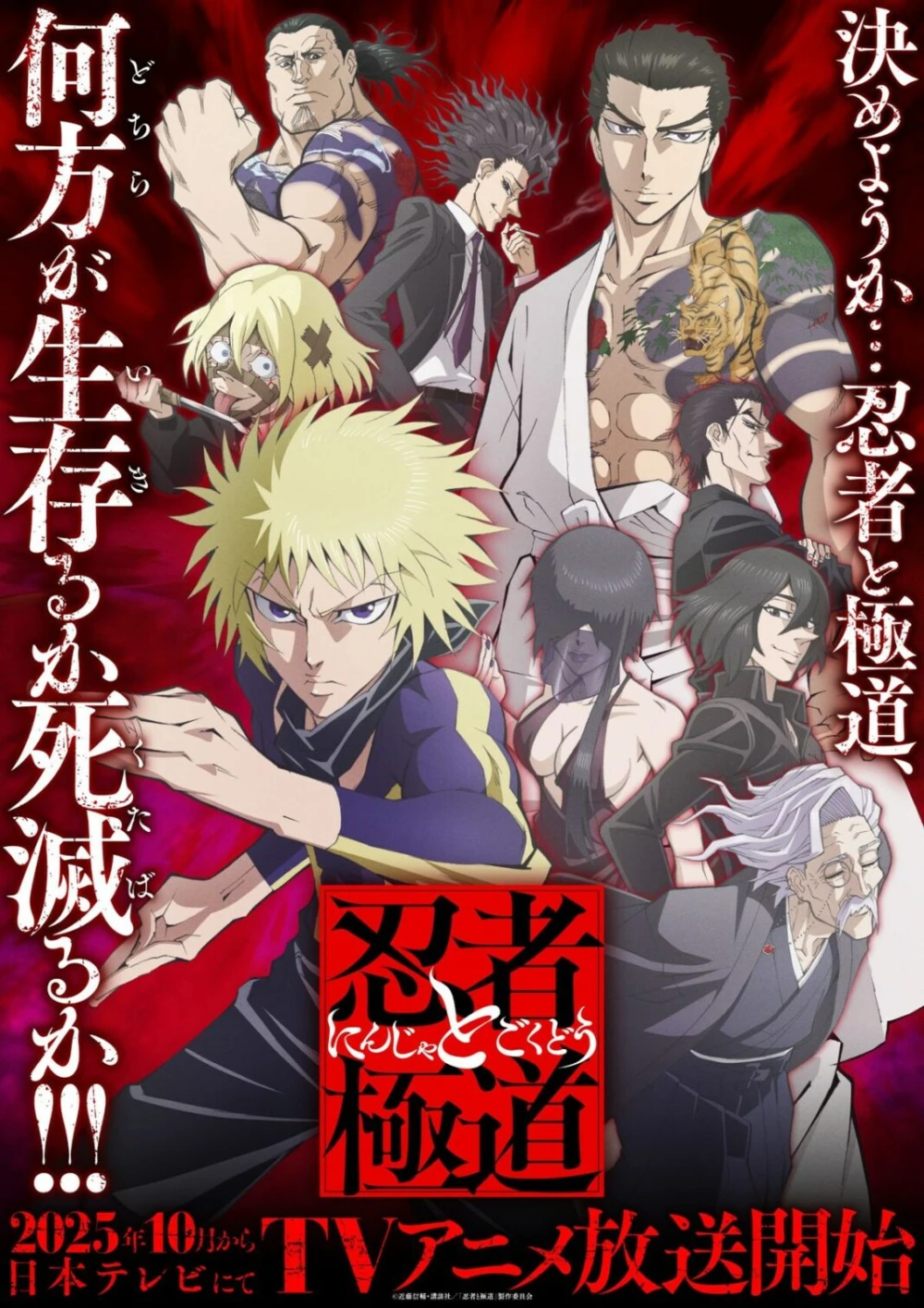 Ninja vs. Gokudo Anime