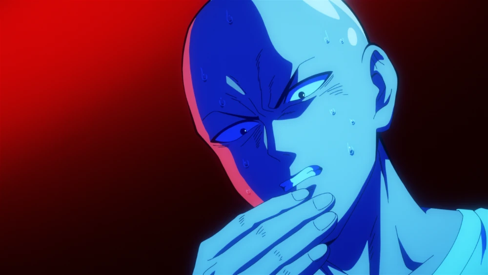opm3(1-6)