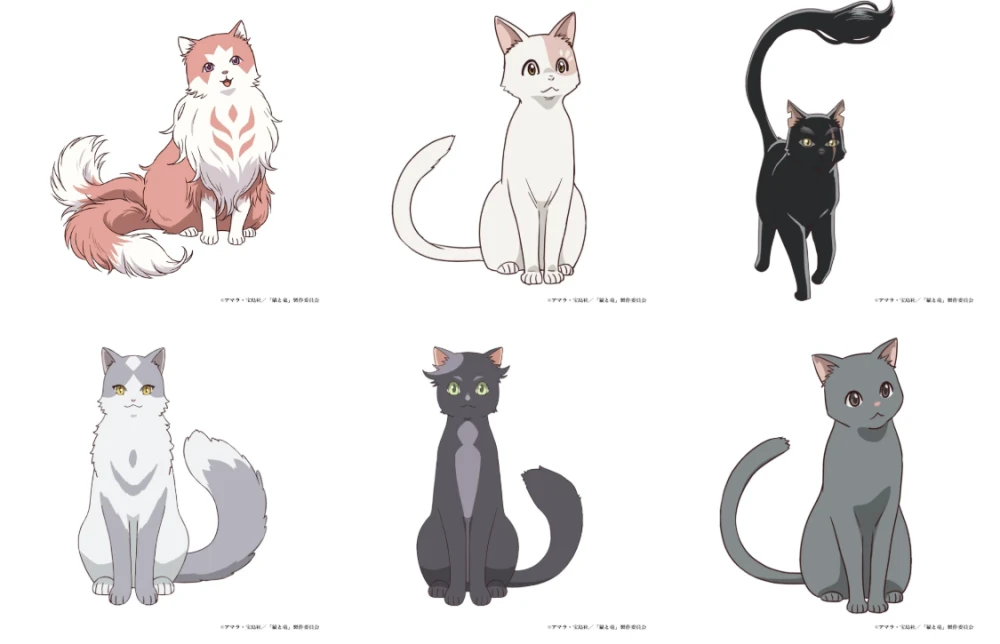 The Cat and the Dragon