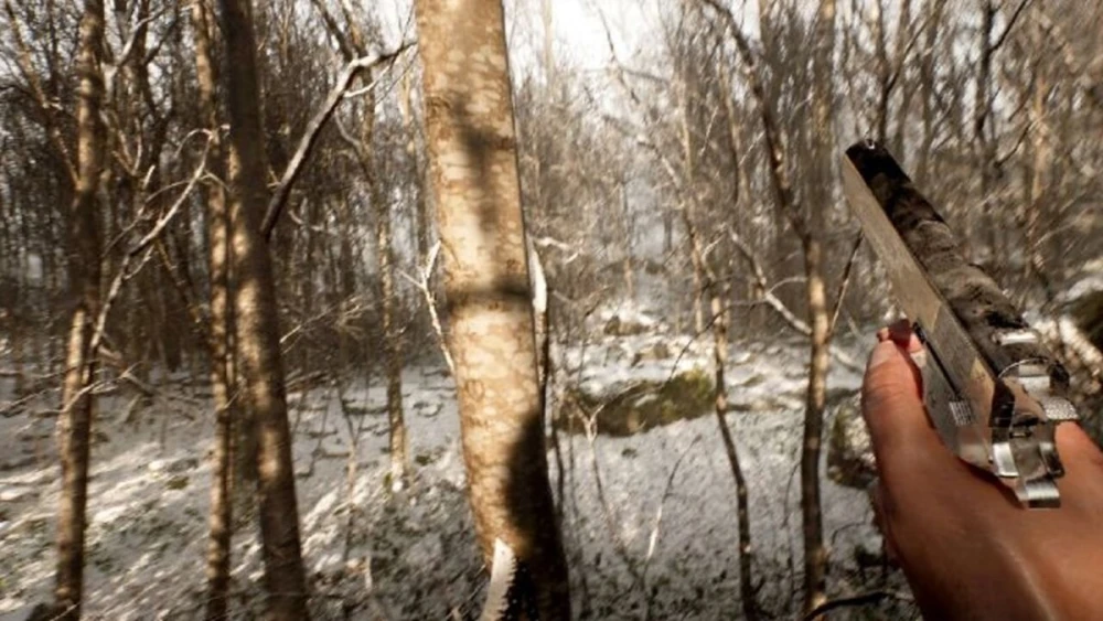 Pengembang Game Abandoned