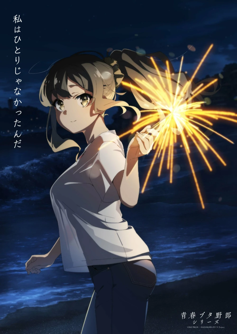 Rascal Does Not Dream of a Dear Friend