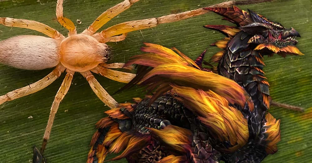 Ilmuwan Indonesia Temukan Spesies Laba-Laba Baru “Rathalos inagami”, Terinspirasi Monster Hunter