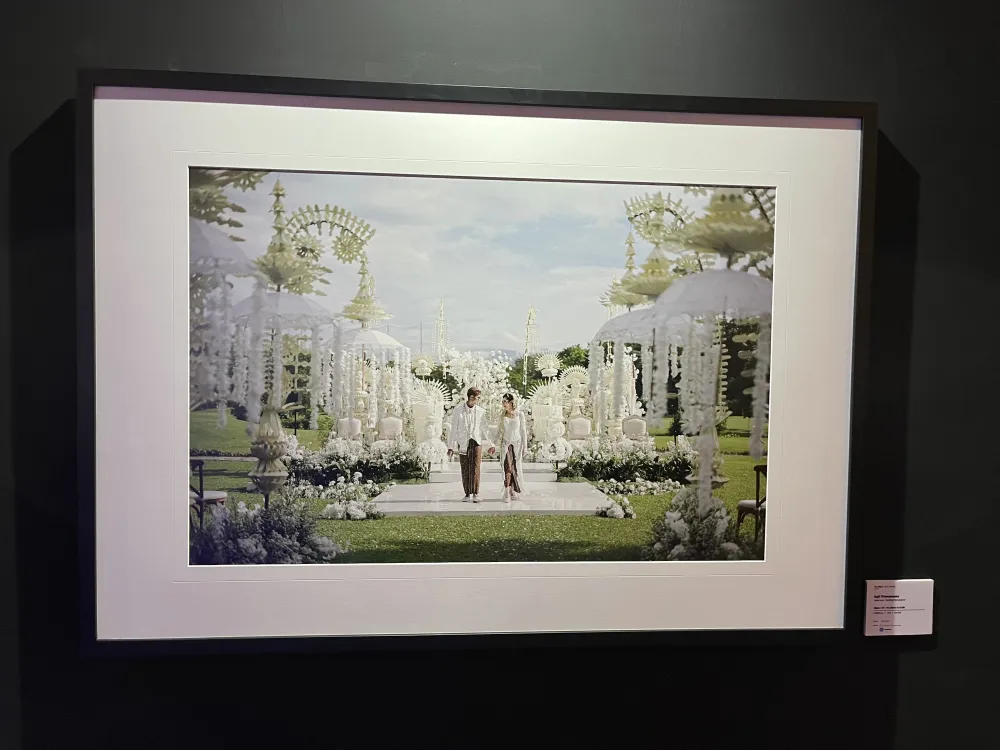 SONY Alpha Festival 2026