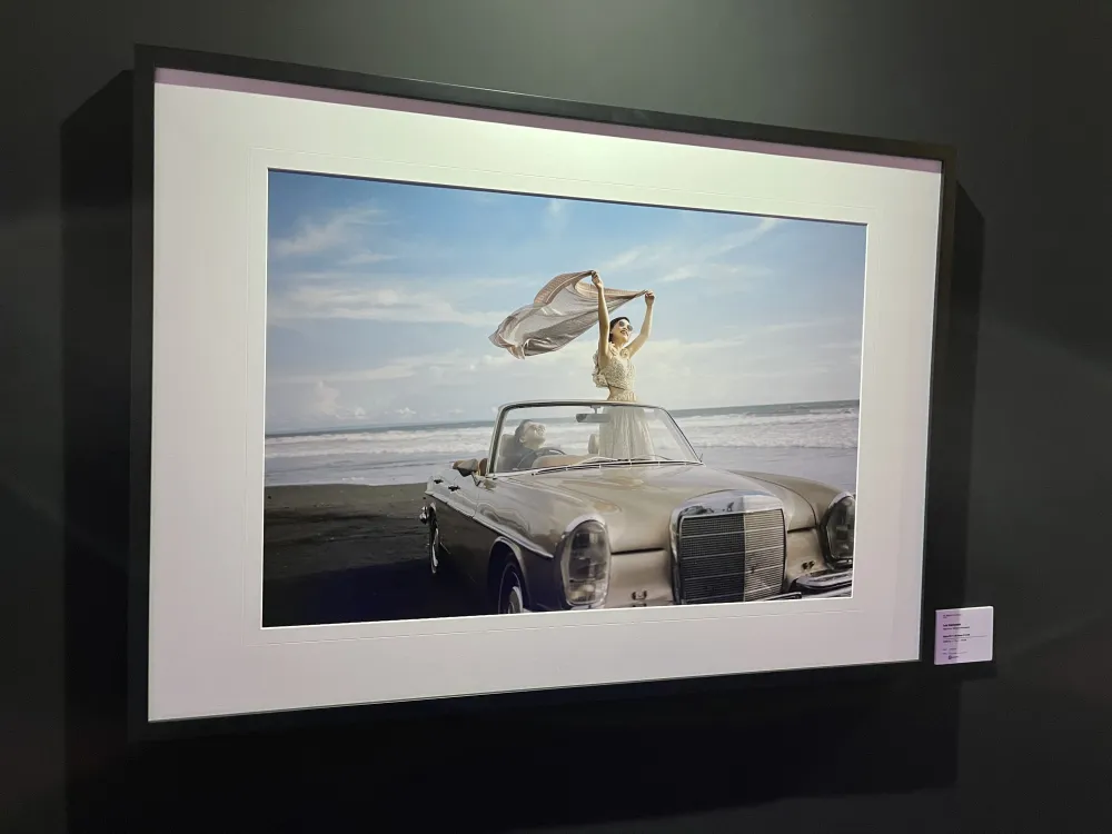SONY Alpha Festival 2026