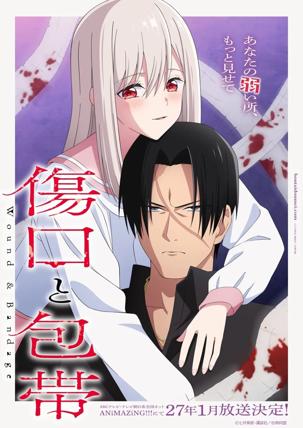 Wounds and Bandage Manga